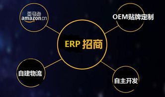 erp系统这么玩才对 2019亚马逊无货源被中国商家 围攻